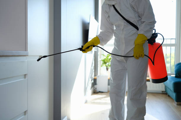 Best Crawl Space Mold Removal  in Weedsport, NY